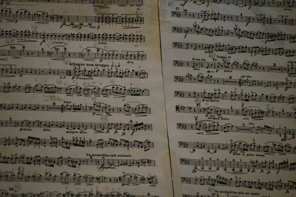 Close-up of piano keys